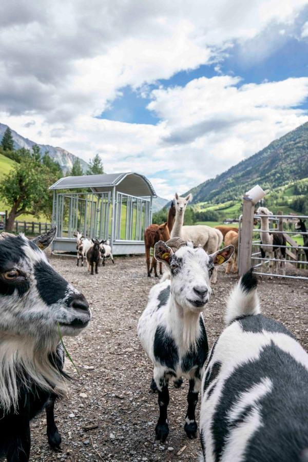 Apartmán Ruggenthalerhof Matrei in Osttirol Exteriér fotografie